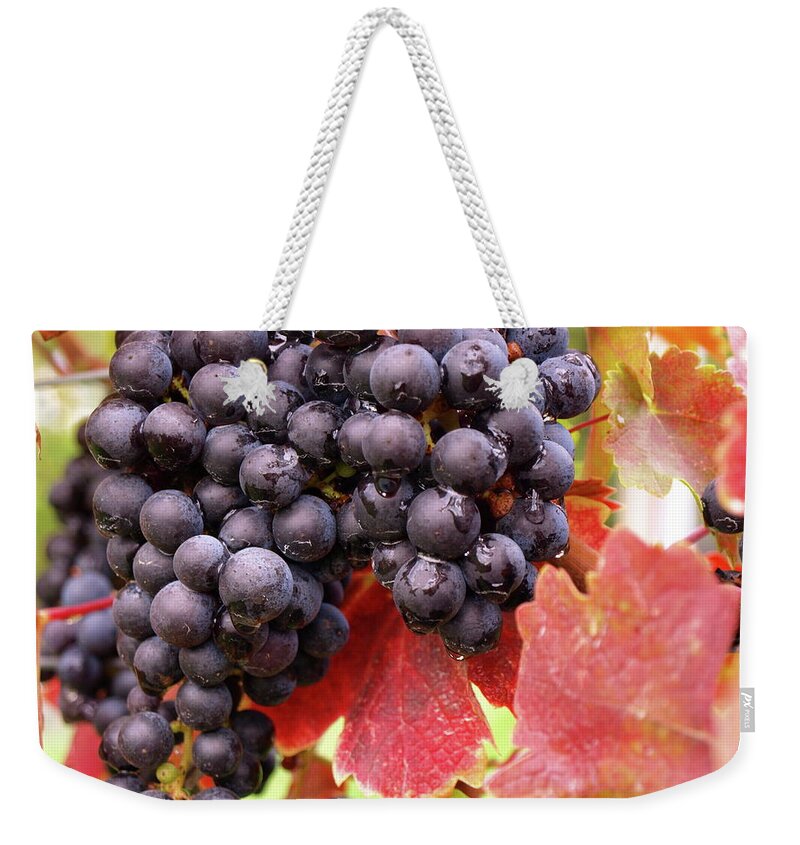 Grapes Weekender Tote Bag featuring the photograph Shalestone - 5 by Jeffrey Peterson