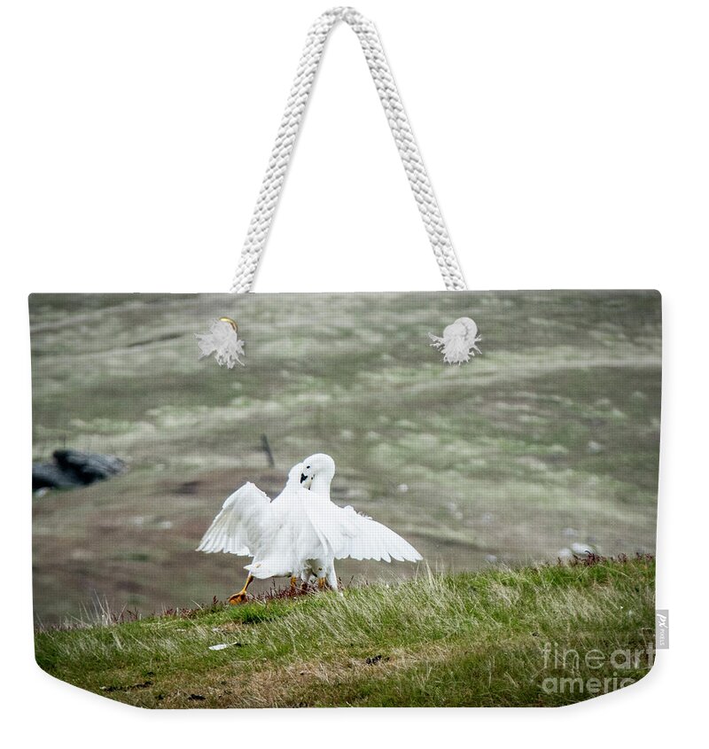 Kelp Geese Weekender Tote Bag featuring the photograph Shall We Dance by Paulette Sinclair