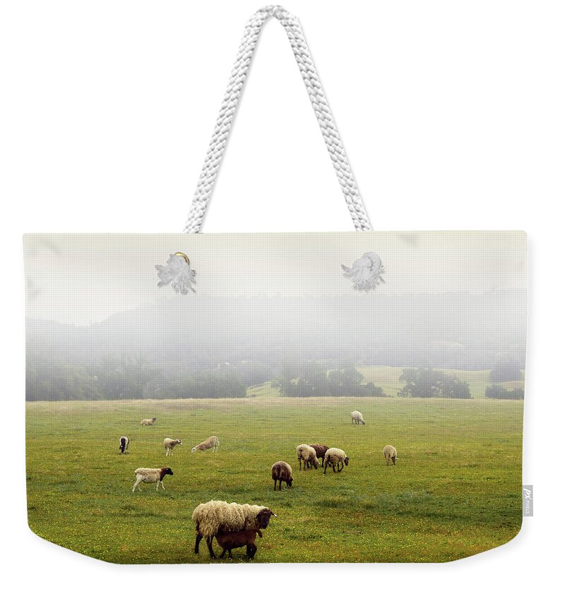 Sheep And Goats Weekender Tote Bag featuring the photograph Sheep And Goats by Frank Wilson