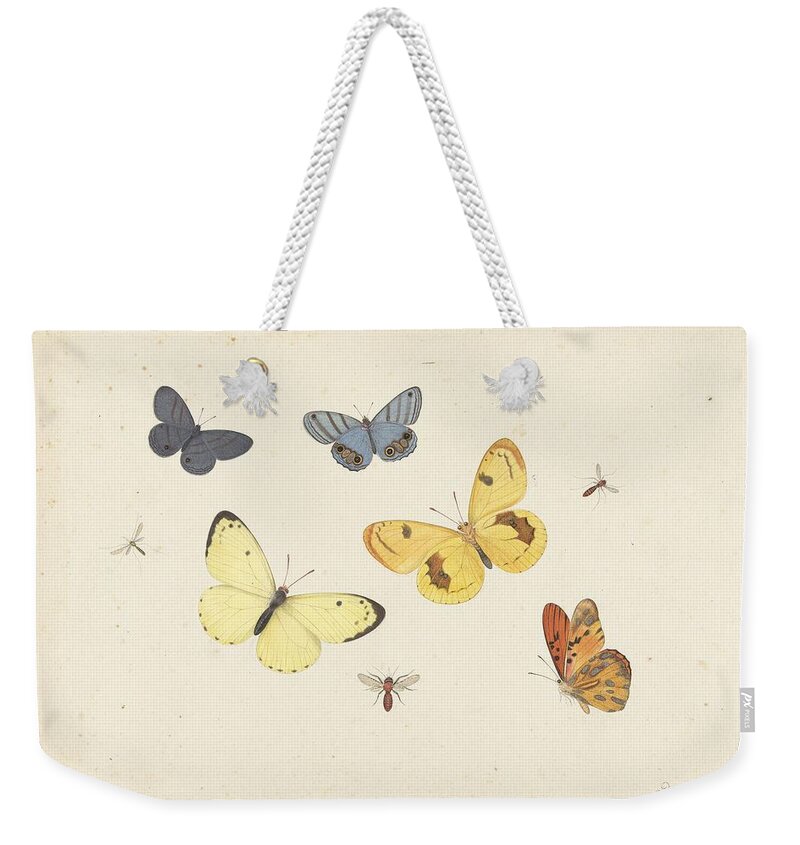 Sheet Of Studies With Five Butterflies Weekender Tote Bag featuring the painting Sheet of Studies with Five Butterflies by MotionAge Designs