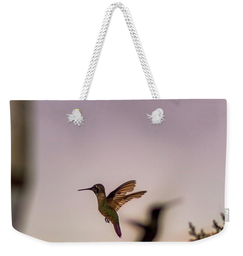 Hummingbird Weekender Tote Bag featuring the photograph Shift Change by Peter Hull