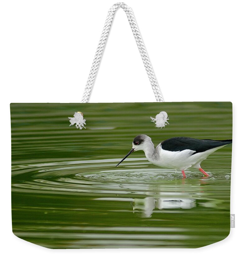 New Territories Weekender Tote Bag featuring the photograph Shore Bird In Lake by Boti