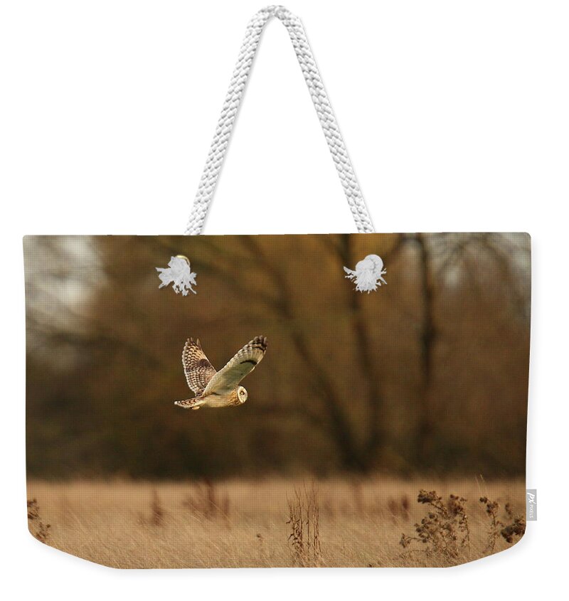 Animal Themes Weekender Tote Bag featuring the photograph Short Eared Owl by Mikemcken