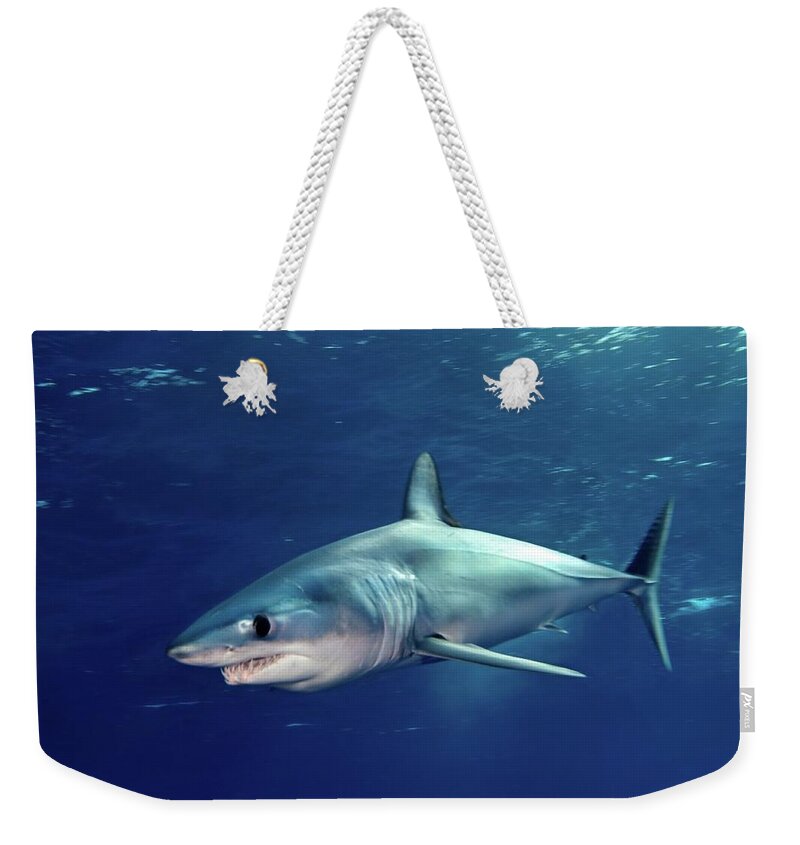 Animal Themes Weekender Tote Bag featuring the photograph Shortfin Mako Sharks by James R.d. Scott