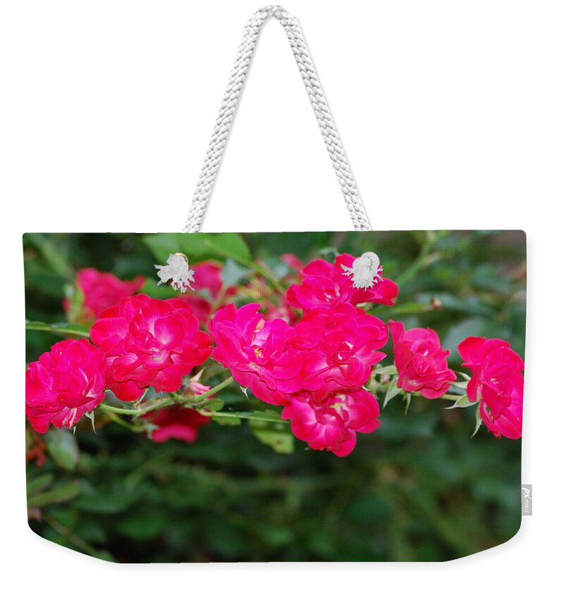 Flowers Weekender Tote Bag featuring the photograph Shrub Roses by Ee Photography