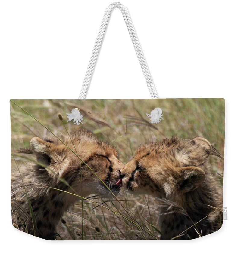 Cheetah Weekender Tote Bag featuring the photograph Sibling love by Patrick Nowotny