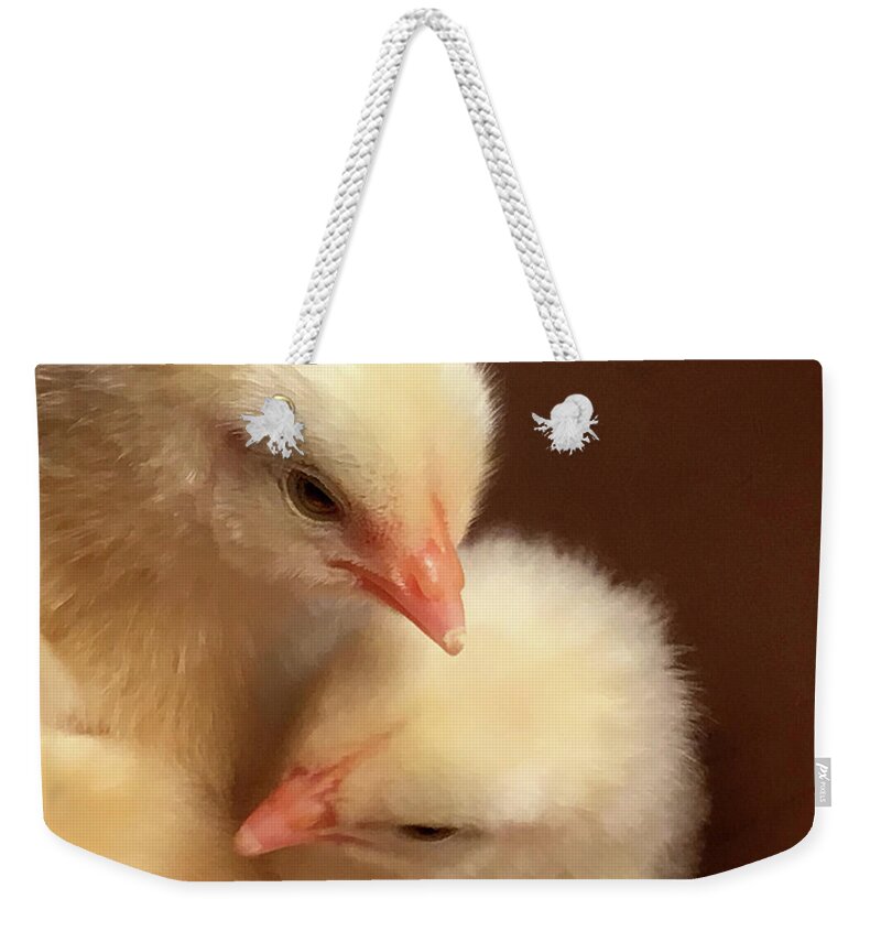 Chickens Weekender Tote Bag featuring the photograph Siblings by Steve Karol