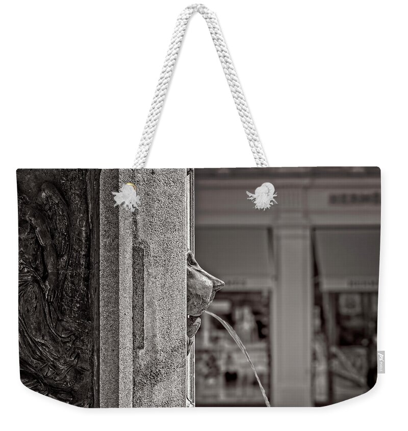 On1 Effects Weekender Tote Bag featuring the photograph Side view of Lion Fountain by Roberto Pagani