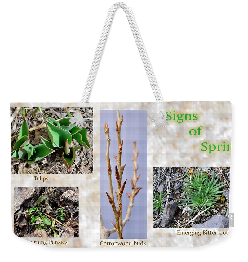 Leaves Weekender Tote Bag featuring the photograph Signs of Spring by Kae Cheatham
