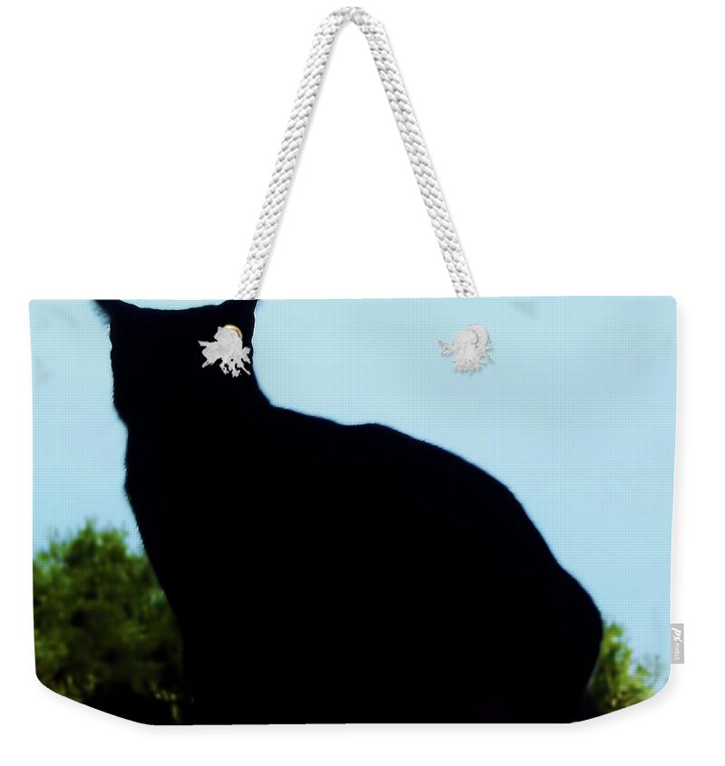 Cat Weekender Tote Bag featuring the photograph Silhouette Cat by D Hackett