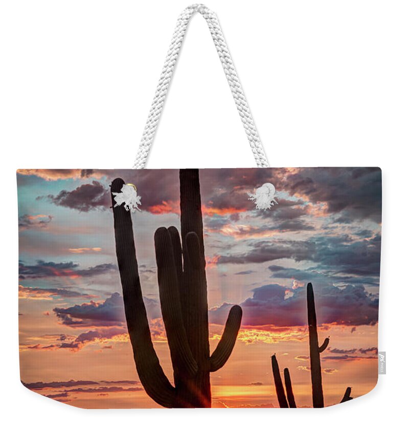 Desert Weekender Tote Bag featuring the photograph Silhouetted Saguaro by Laura Hedien
