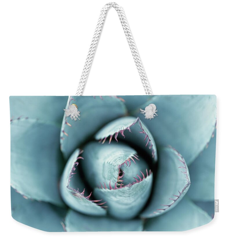 Outdoors Weekender Tote Bag featuring the photograph Silver Succulent by Micha Pawlitzki