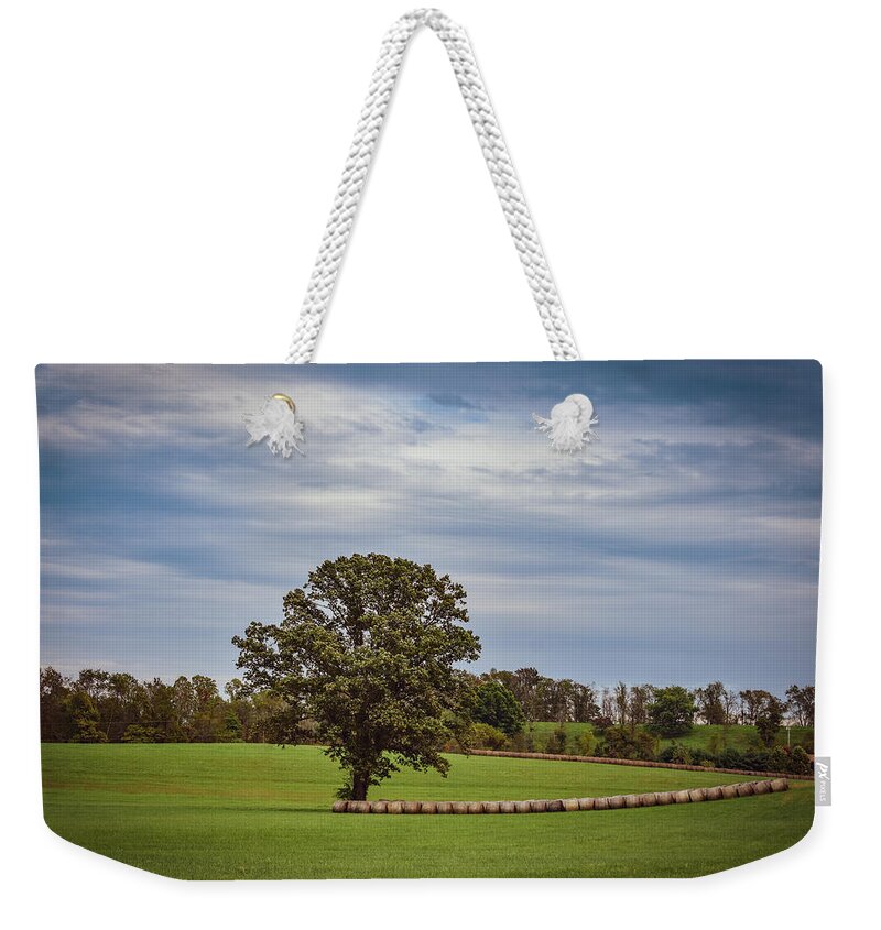 Tree Weekender Tote Bag featuring the photograph Simple Joys by Michelle Wittensoldner