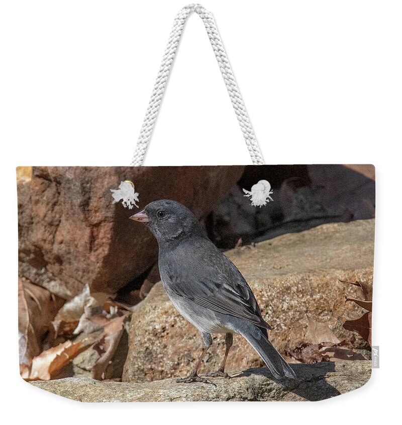 Nature Weekender Tote Bag featuring the photograph Slate-colored Junco DSB0339 by Gerry Gantt