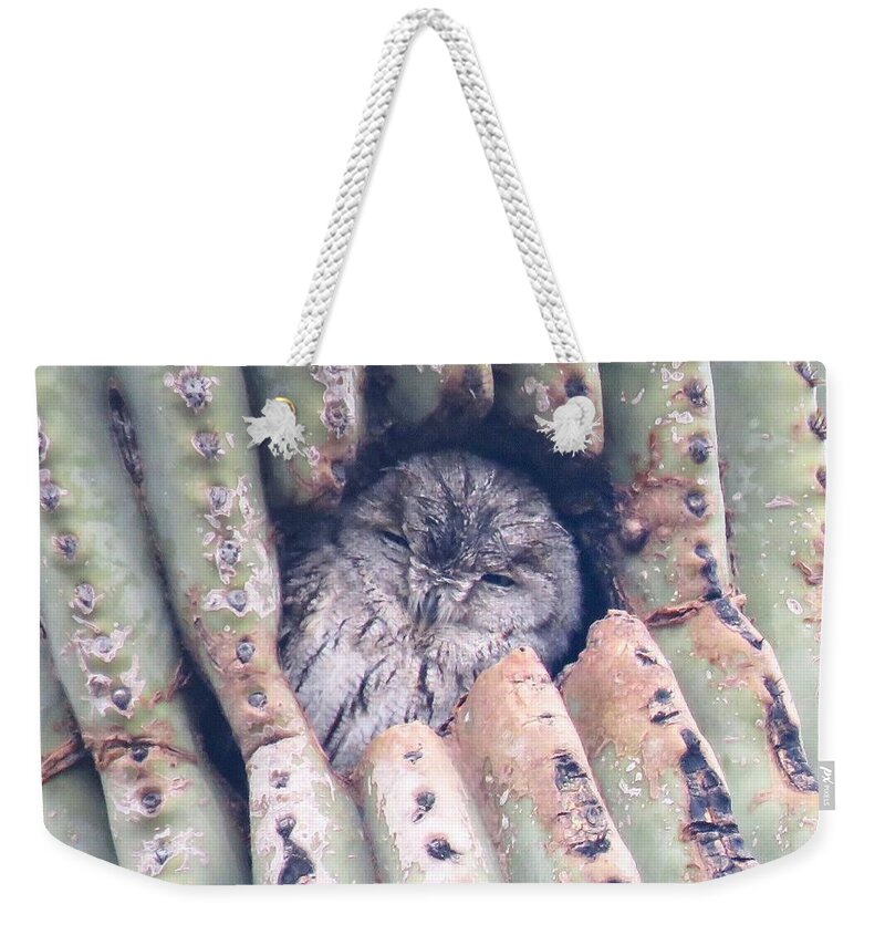 Animals Weekender Tote Bag featuring the photograph Sleepy Eye by Judy Kennedy