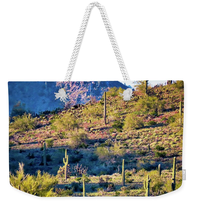 Arizona Weekender Tote Bag featuring the photograph Slope of the Saguaros by Judy Kennedy