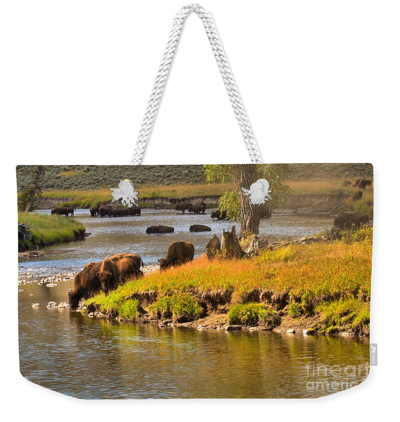 Bison Weekender Tote Bag featuring the photograph Slough Creek Bison Picnic by Adam Jewell