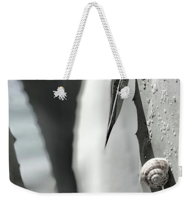 Aloe Weekender Tote Bag featuring the photograph Slow Aloe by Tom Johnson
