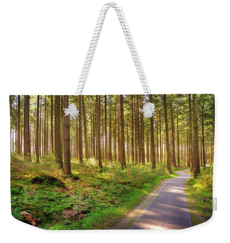 Tranquility Weekender Tote Bag featuring the photograph Small Footpath In Forest by Tjarko Evenboer / The Netherlands