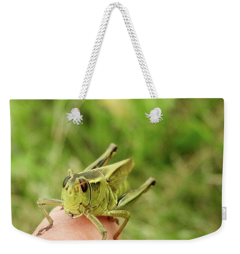Grasshopper Weekender Tote Bag featuring the photograph Smiling Grasshopper by Kathy Chism