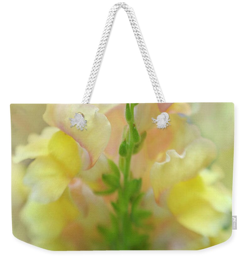 Snapdragon Weekender Tote Bag featuring the photograph Snapdragon Sunrise by Wild Sage Studio Karen Powers