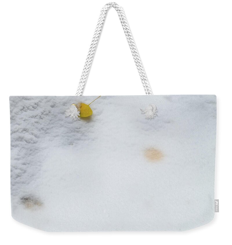 Aspens Weekender Tote Bag featuring the photograph Snow Covered Aspen Leaves by Johnny Boyd