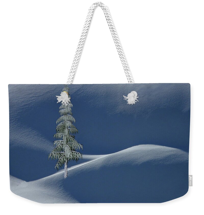 Tree Weekender Tote Bag featuring the photograph Snow Covered Tree and Mountains Color by David Dehner