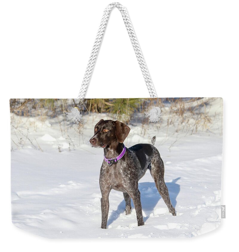 Macie Weekender Tote Bag featuring the photograph Snow Gaze by Brook Burling