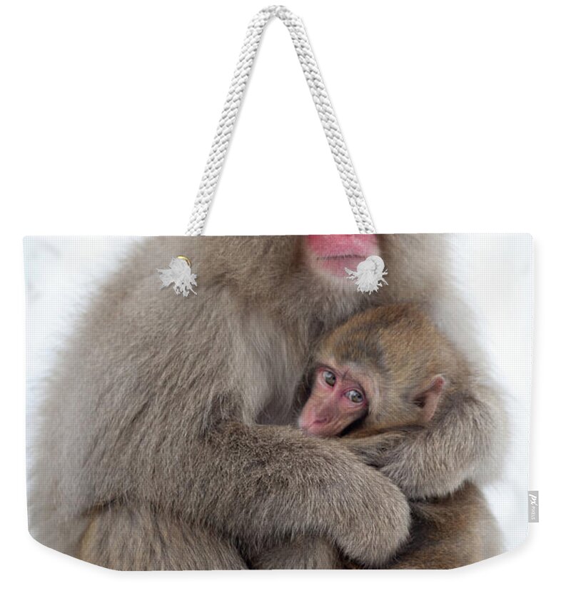 Snow Weekender Tote Bag featuring the photograph Snow Monkey by Patrick Shyu
