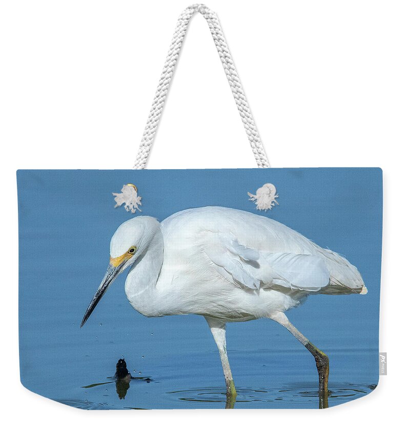 Nature Weekender Tote Bag featuring the photograph Snowy Egret DMSB0180 by Gerry Gantt