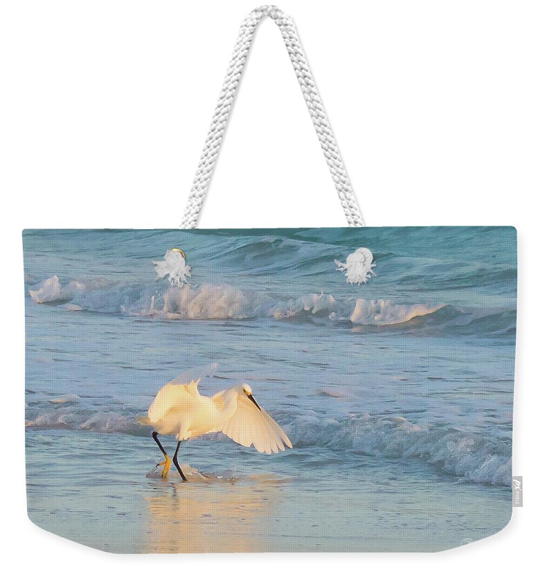 Susan Molnar Weekender Tote Bag featuring the photograph Snowy Siesta Key Sunset III by Susan Molnar
