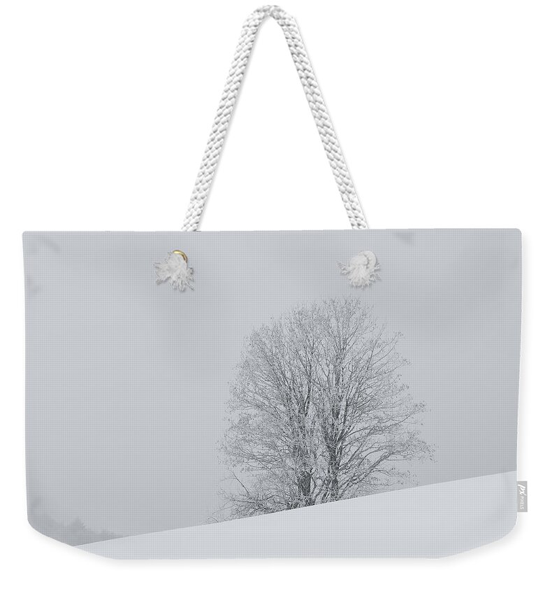 Tree Weekender Tote Bag featuring the photograph Snowy tree - 6 by Paul MAURICE