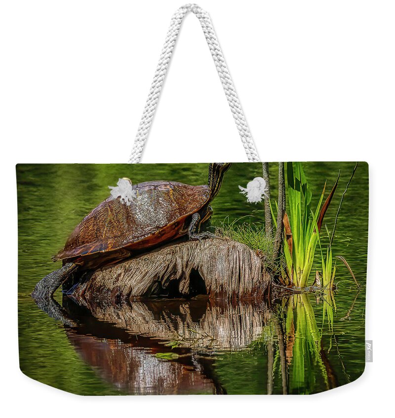 Landscape Weekender Tote Bag featuring the photograph Soaking Up the Sun by JASawyer Imaging
