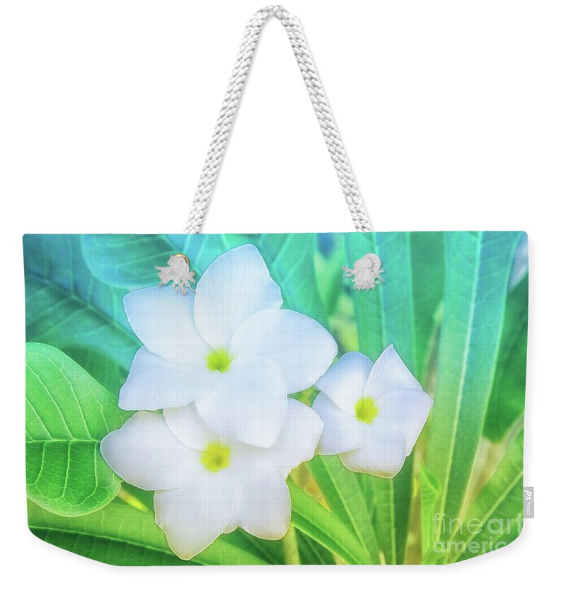 Botanical Weekender Tote Bag featuring the photograph Soft and Light 12 by Becqi Sherman