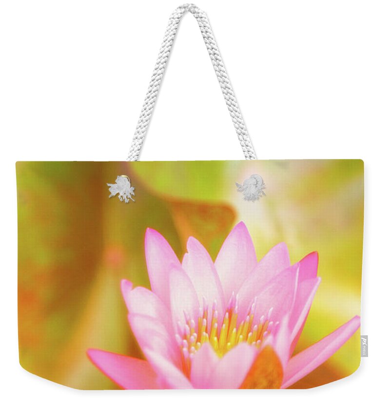 Pink Flower Weekender Tote Bag featuring the photograph Soft and Light 4 by Becqi Sherman