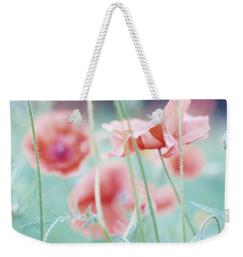 Belgium Weekender Tote Bag featuring the photograph Soft Focus Close-up Of Red Corn Poppy by Eschcollection