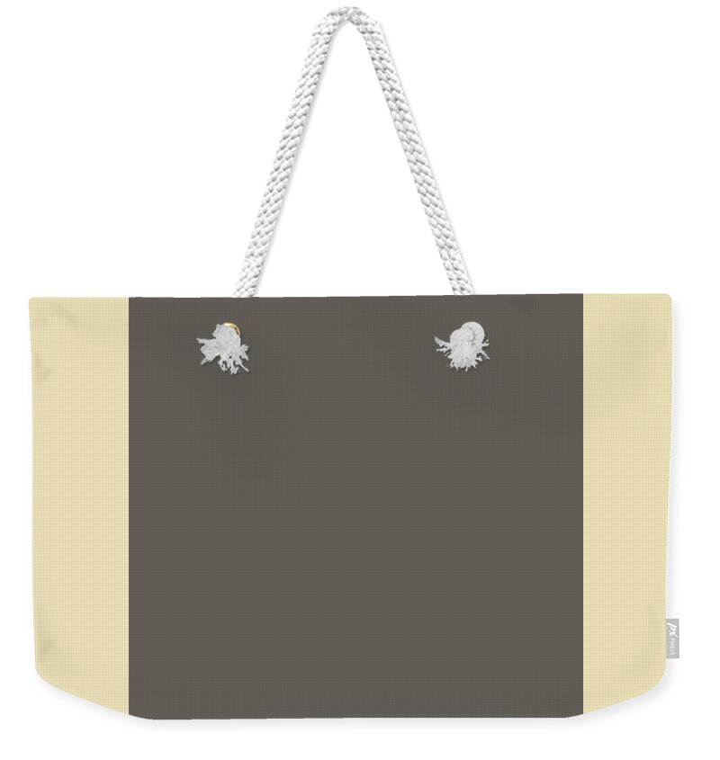 Solid Weekender Tote Bag featuring the digital art Solid Gray for Matching Home Decor Pillows and Blankets by Delynn Addams