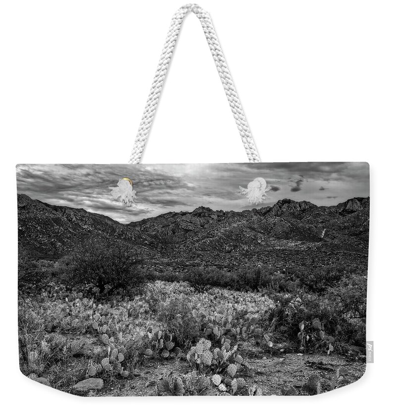 Santa Catalina Mountains Weekender Tote Bag featuring the photograph Sonoran Vista h1132 by Mark Myhaver