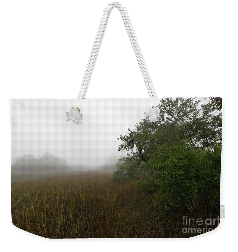 Fog Weekender Tote Bag featuring the photograph Southern Framed Fog by Dale Powell
