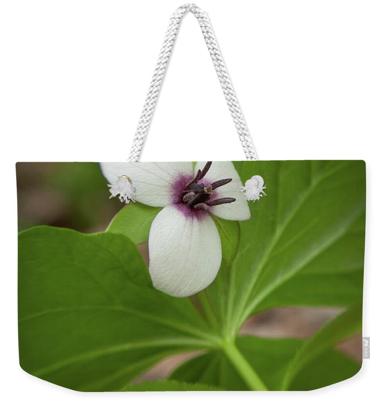 Great Smoky Mountain National Park Weekender Tote Bag featuring the photograph Southern Nodding Trillium 2 by Joye Ardyn Durham