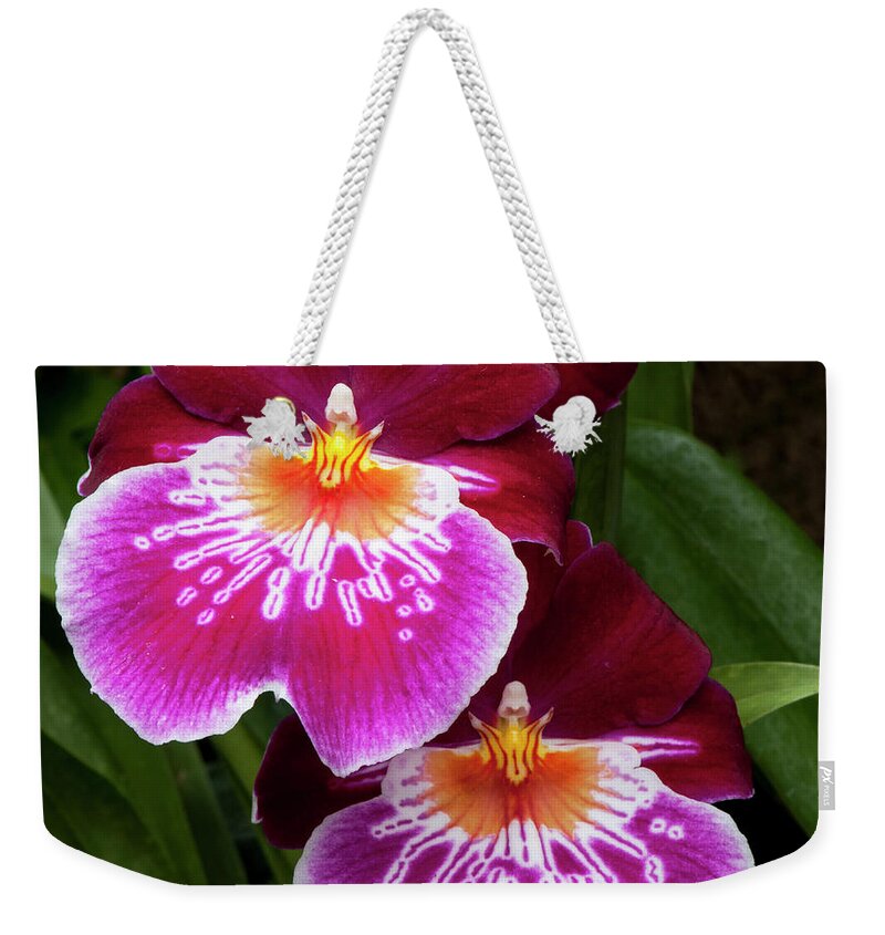 Macro Weekender Tote Bag featuring the photograph Spanish Dancers by Ginger Stein