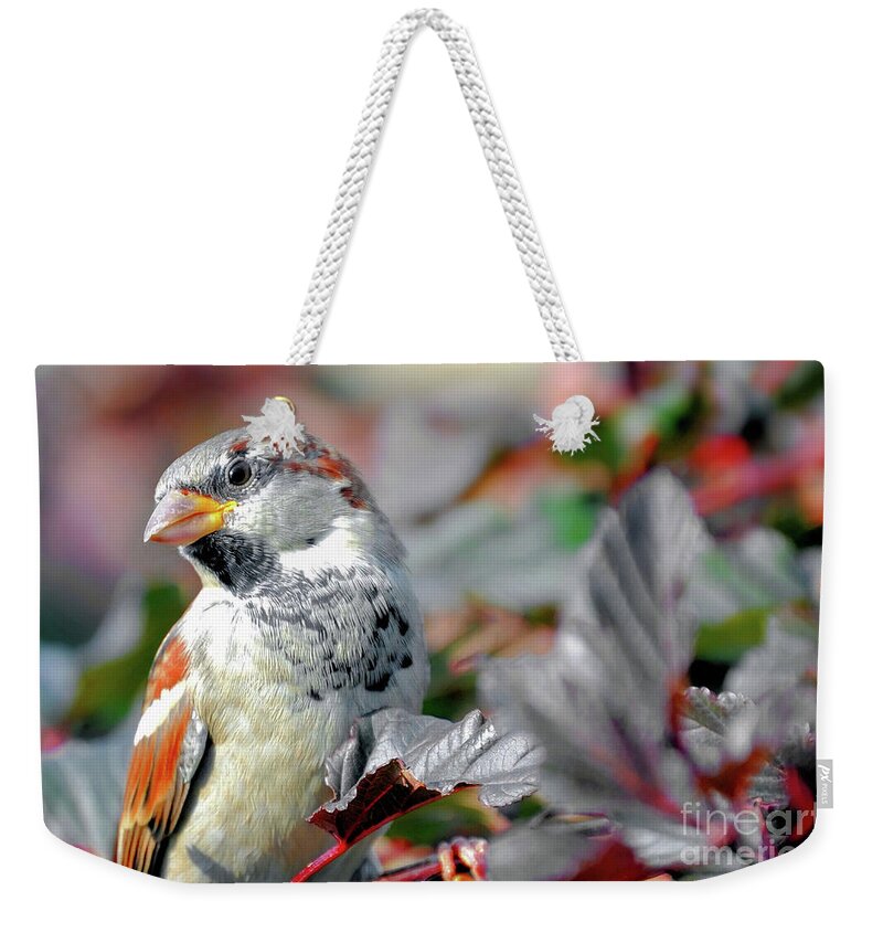 Birds Weekender Tote Bag featuring the photograph Sparrow Profile by Elaine Manley