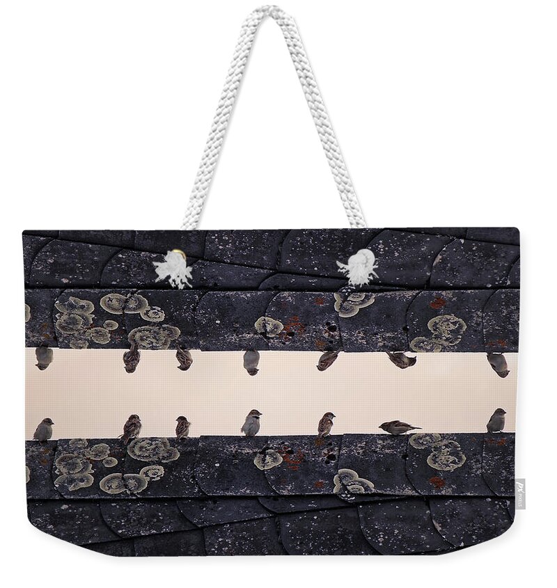 In A Row Weekender Tote Bag featuring the photograph Sparrows Sitting On Rooftop by Sebastian Schneider