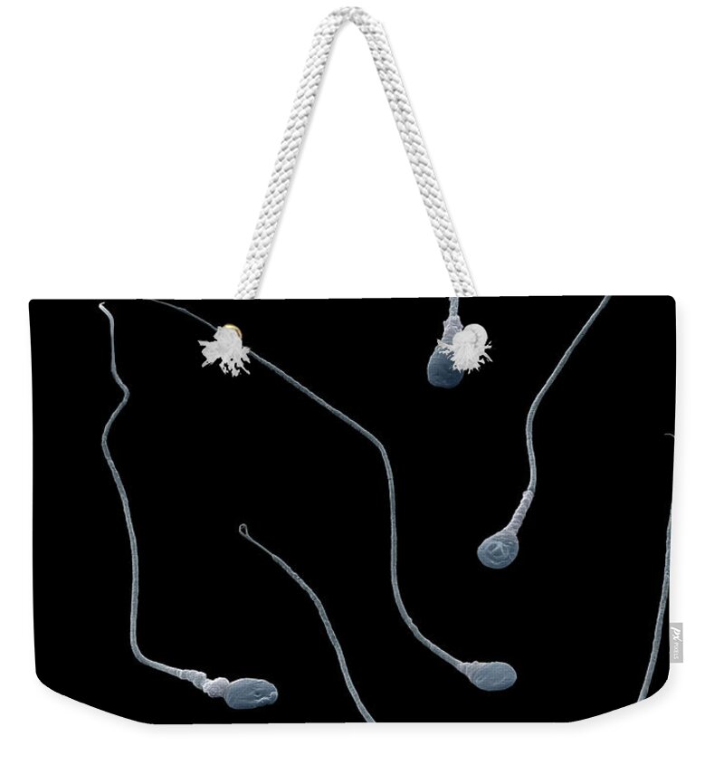 Cell Weekender Tote Bag featuring the photograph Sperm by Oliver Meckes EYE OF SCIENCE