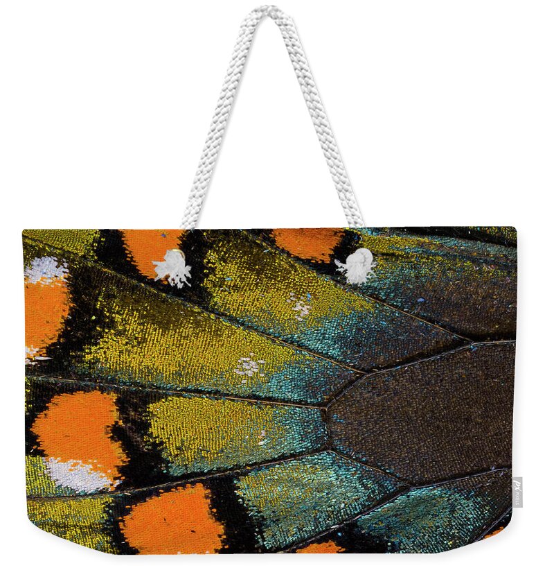 Natural Pattern Weekender Tote Bag featuring the photograph Spicebush Swallowtail Butterfly Wing by Darrell Gulin