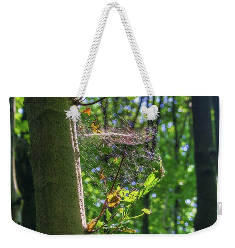 Spider Web Weekender Tote Bag featuring the photograph Spider web in a forest by Sun Travels