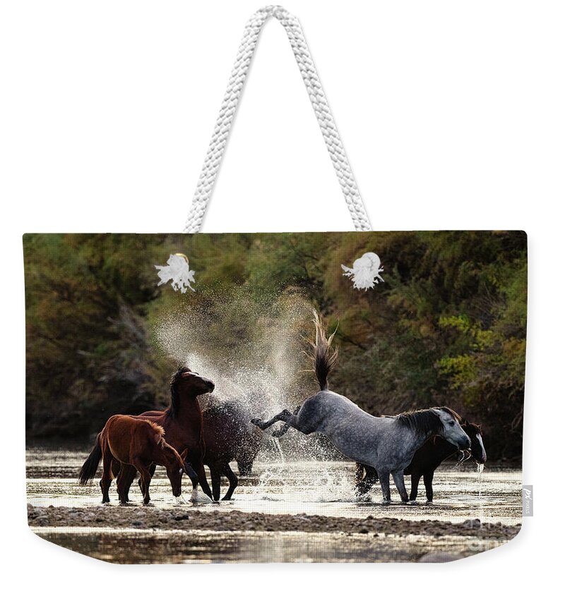 Action Weekender Tote Bag featuring the photograph Splashing Kick by Shannon Hastings