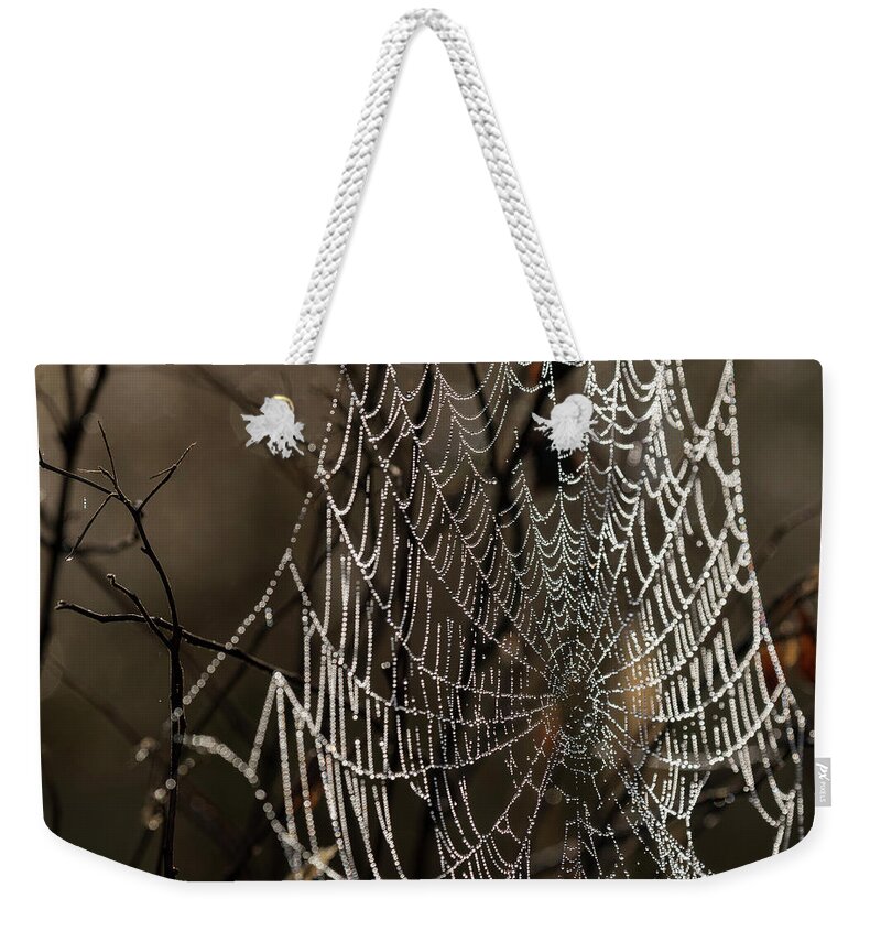 Astoria Weekender Tote Bag featuring the photograph Spooky Spider Web by Robert Potts