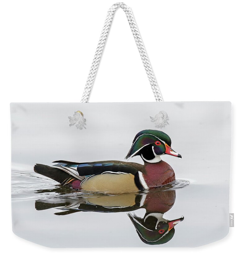 Wood Duck Weekender Tote Bag featuring the photograph Spring Color by Jim Zablotny