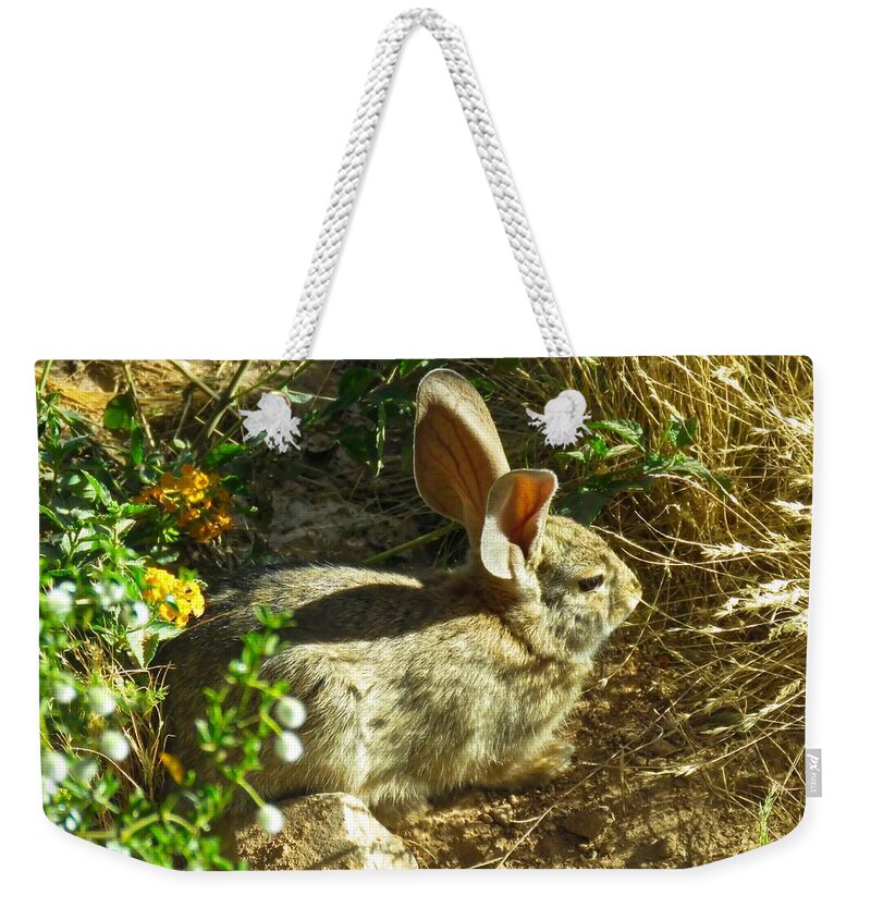 Arizona Weekender Tote Bag featuring the photograph Spring Desert Cottontail by Judy Kennedy